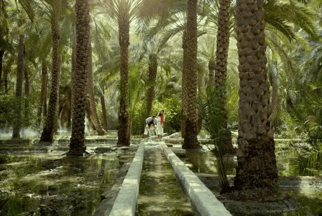 Al-Ain-Oasis