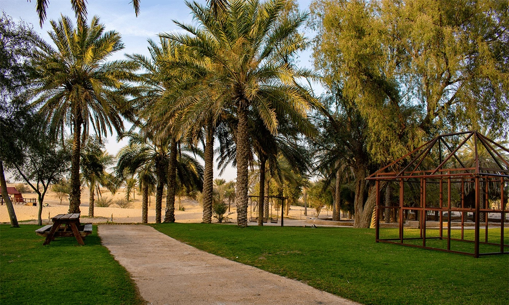 Al-Ain-Oasis