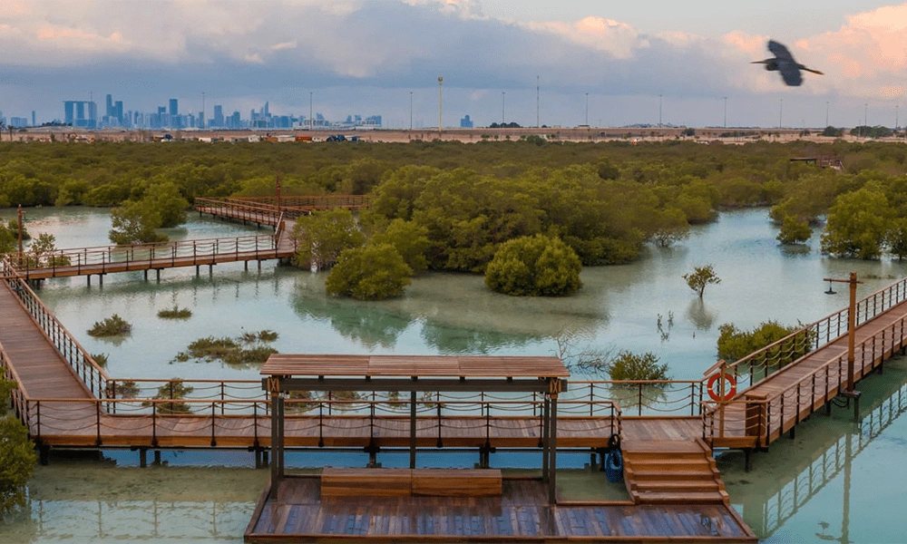 Jubail-Mangrove-Park-1-1