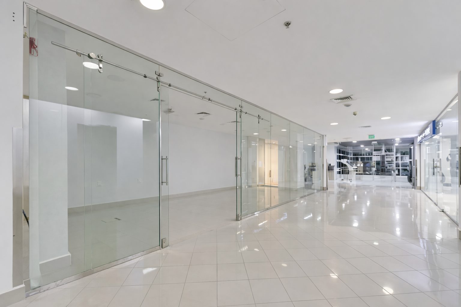 ChatGPT Image Feb 12, 2026, 03_28_36 PM